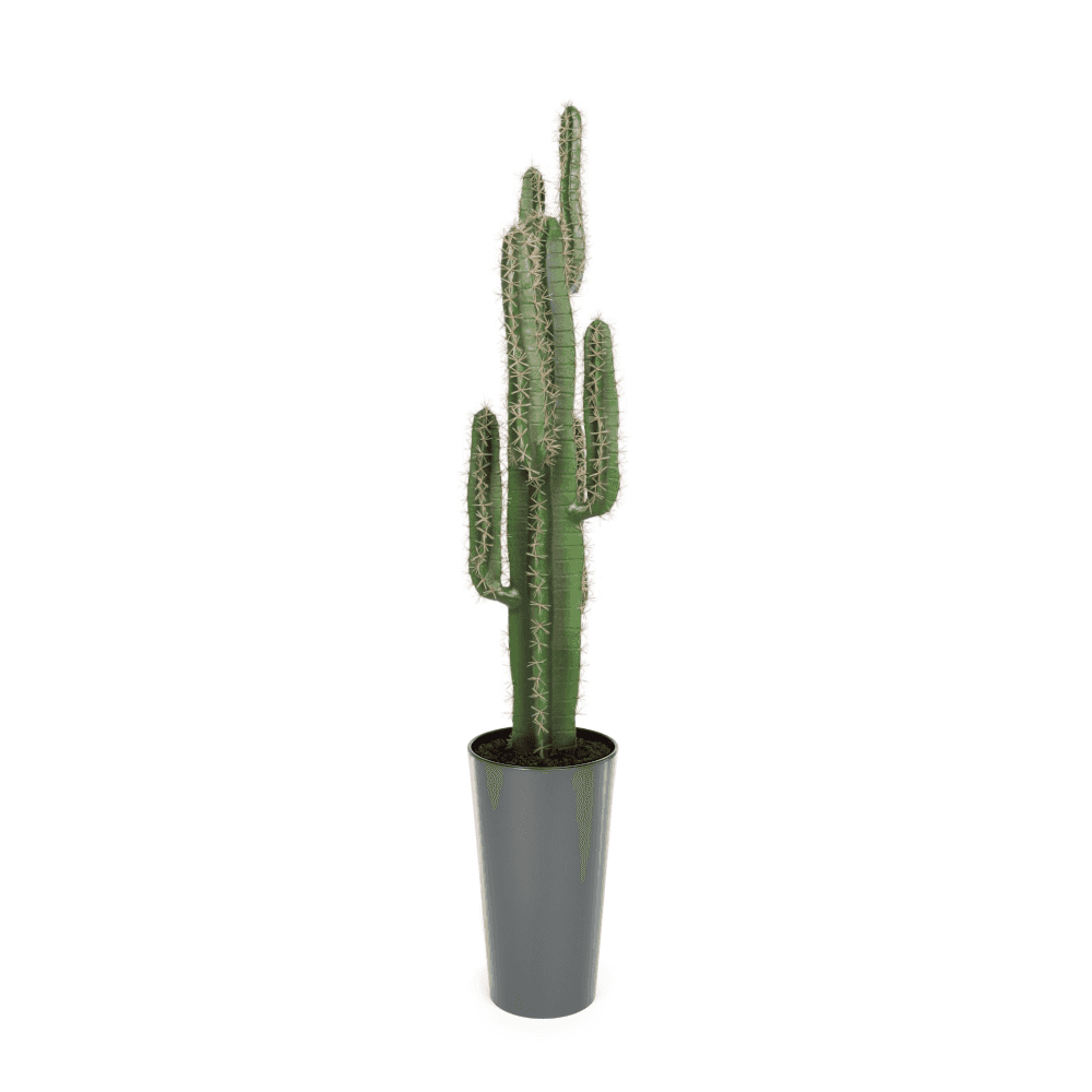 Cactus Plant 125cm
