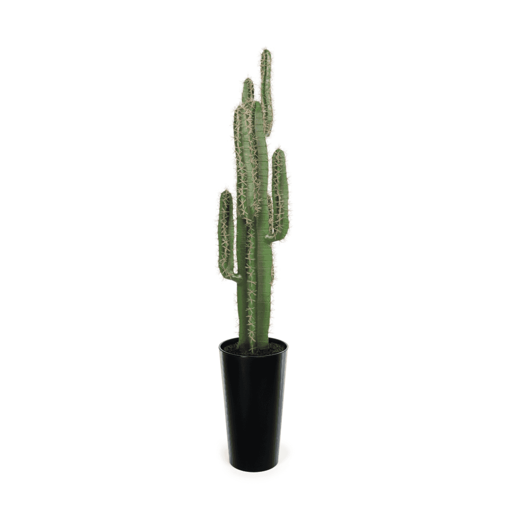 Cactus Plant 125cm