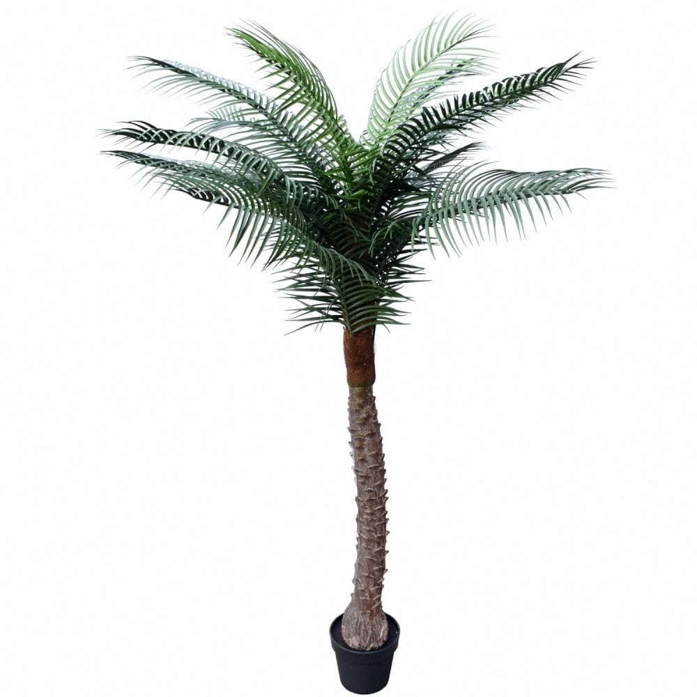 UV Beach Palm 1.7m
