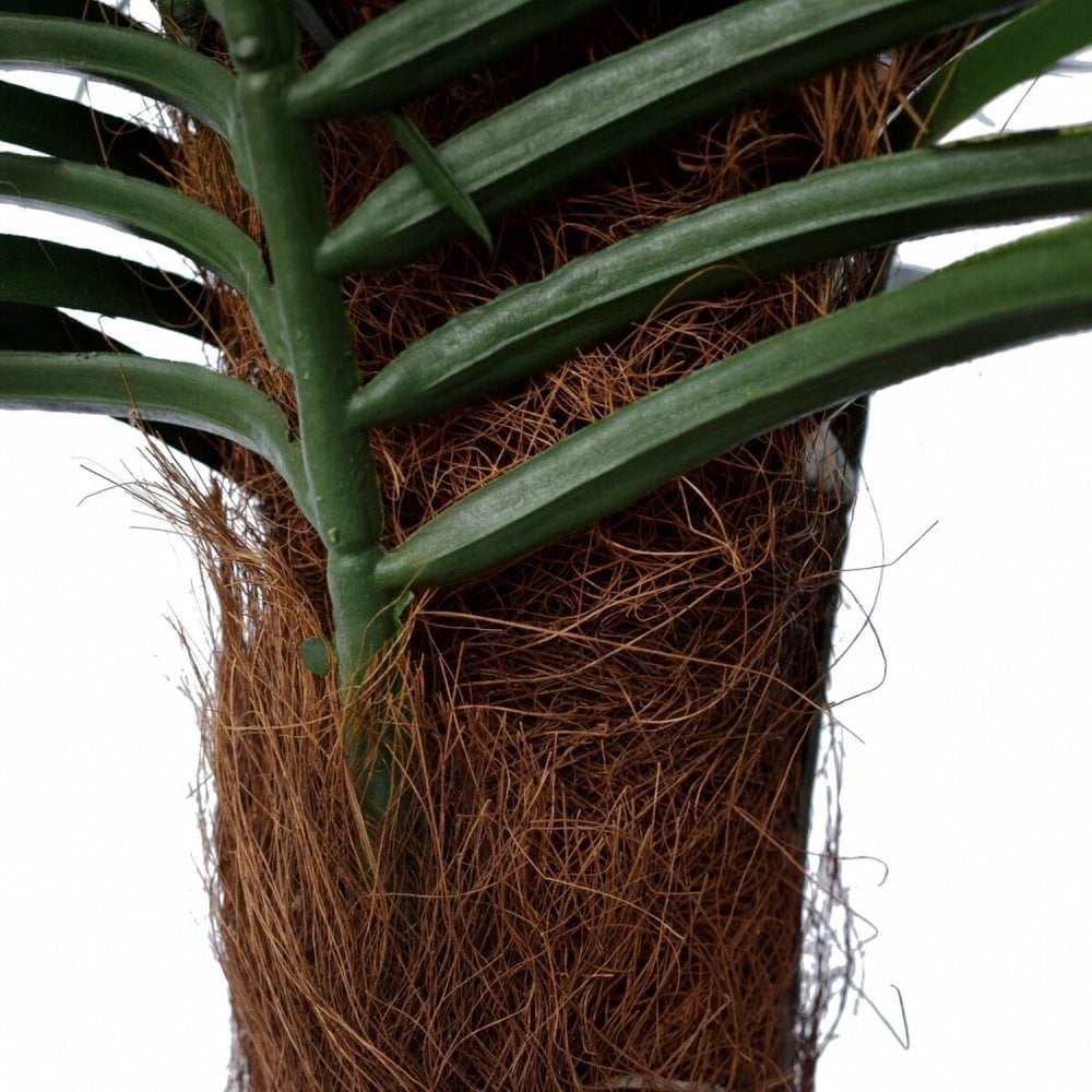 UV Beach Palm 1.7m
