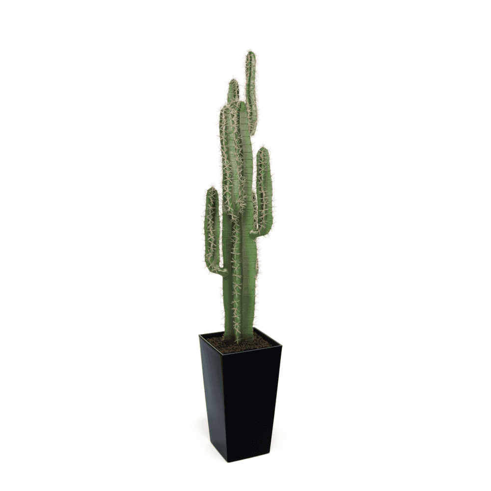 Cactus Plant 125cm