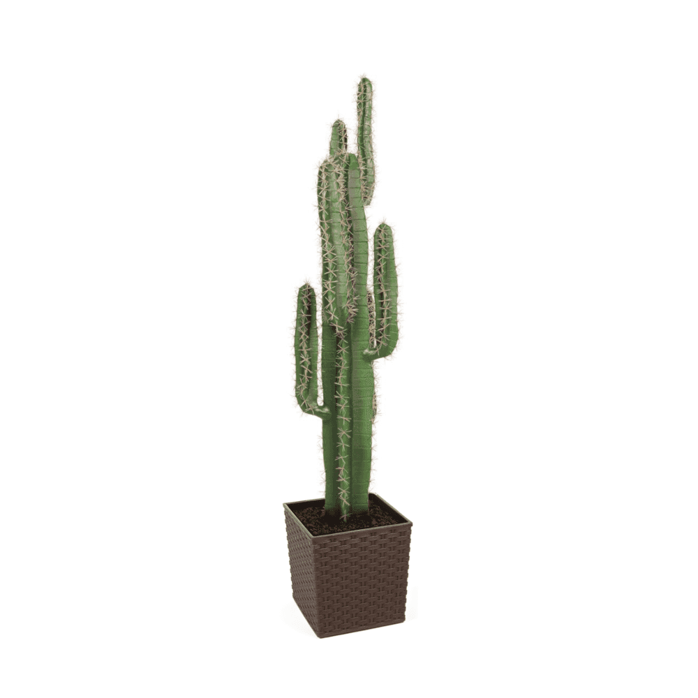 Cactus Plant 125cm