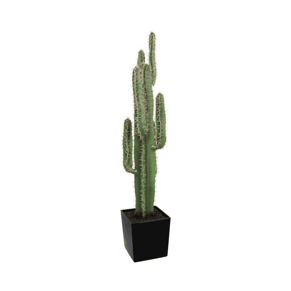 Cactus Plant 125cm