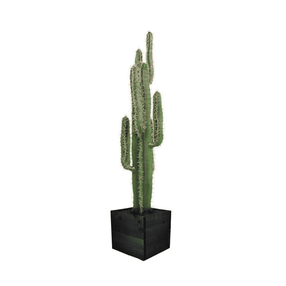 Cactus Plant 125cm
