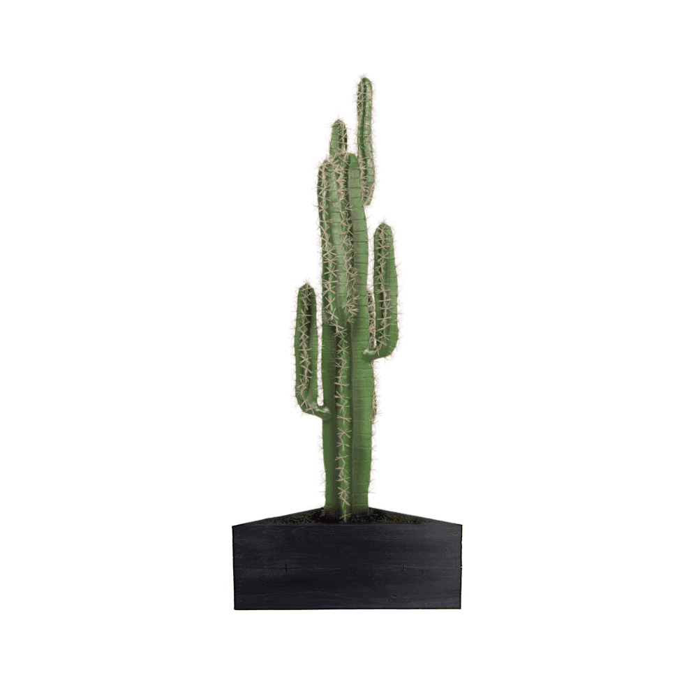 Cactus Plant 125cm