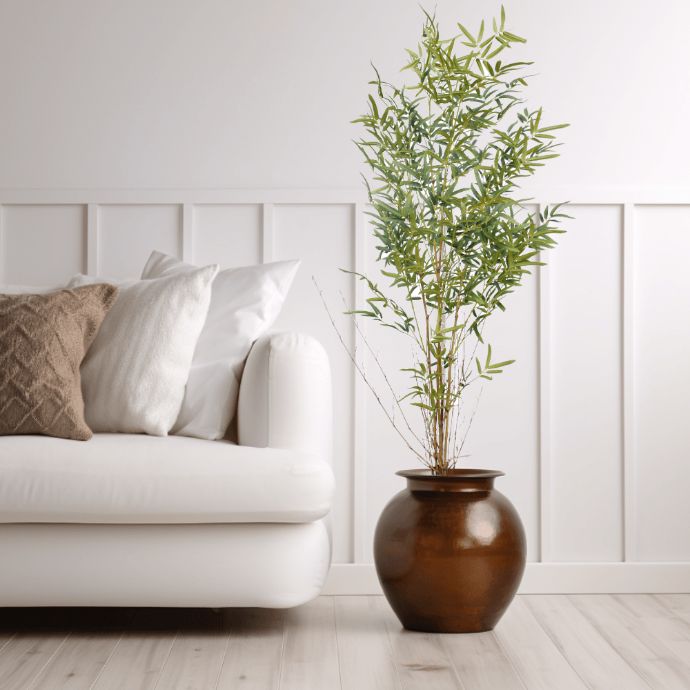 Real Stem Bamboo Tree