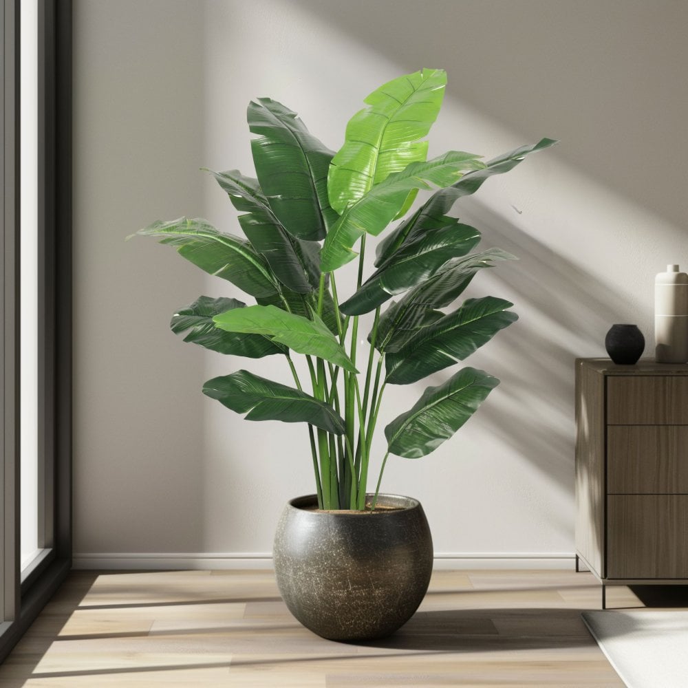 Travelers Banana Tree 180cm