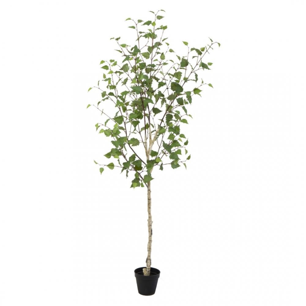Artificial White Stem Birch Tree 160cm