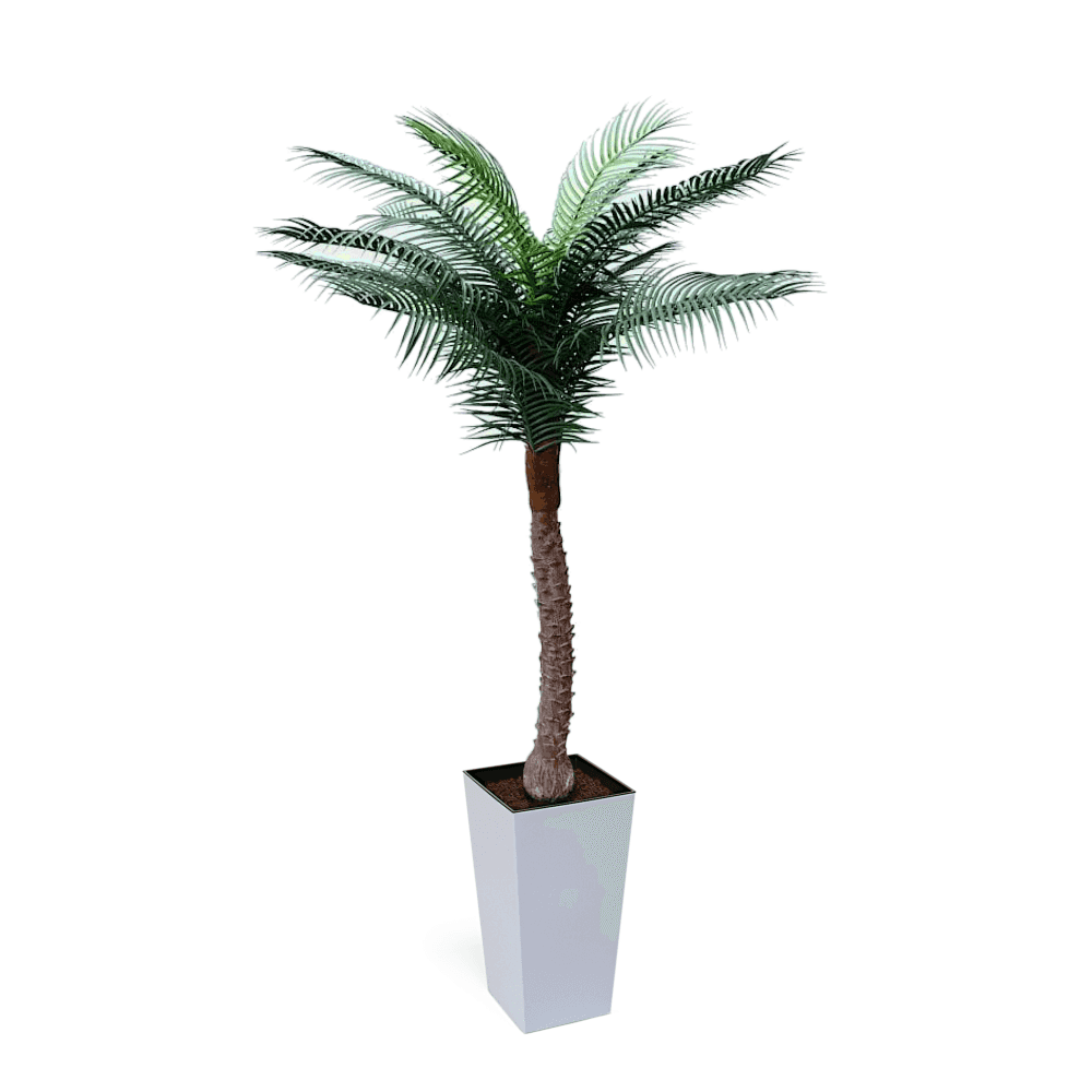 UV Beach Palm 1.7m