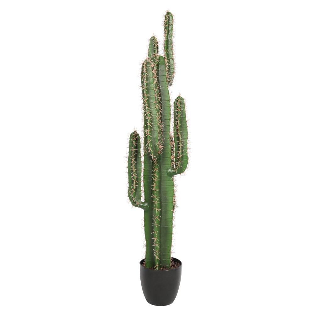 Cactus Plant 125cm