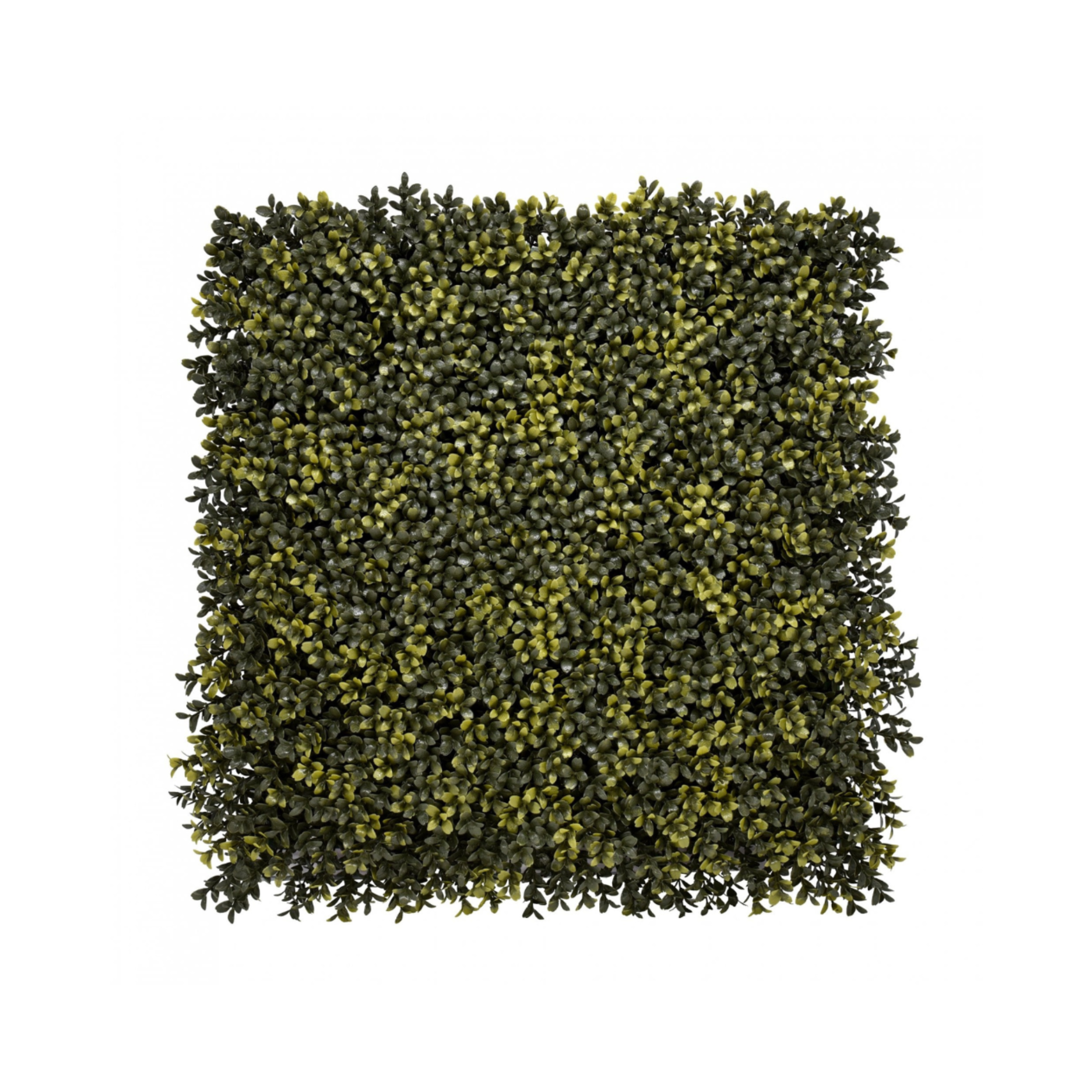 Artificial English Boxwood Hedge Foliage